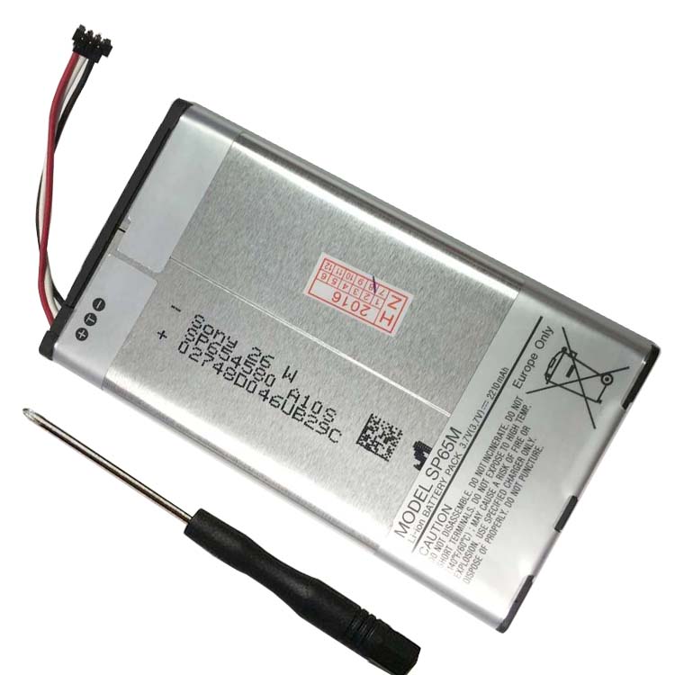 Batterie pour portable SONY PCH-1002